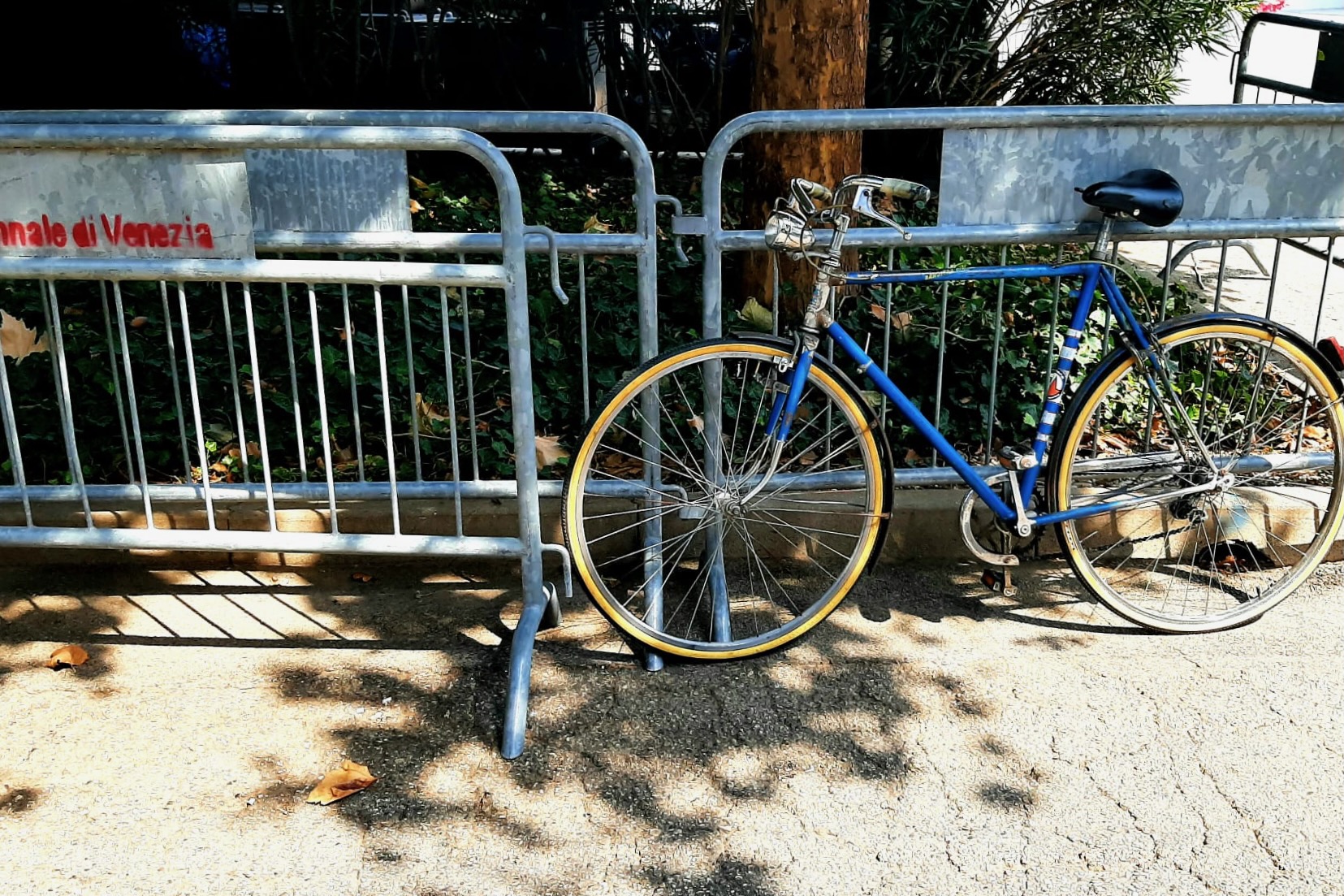 Biennale e bicicletta (1)